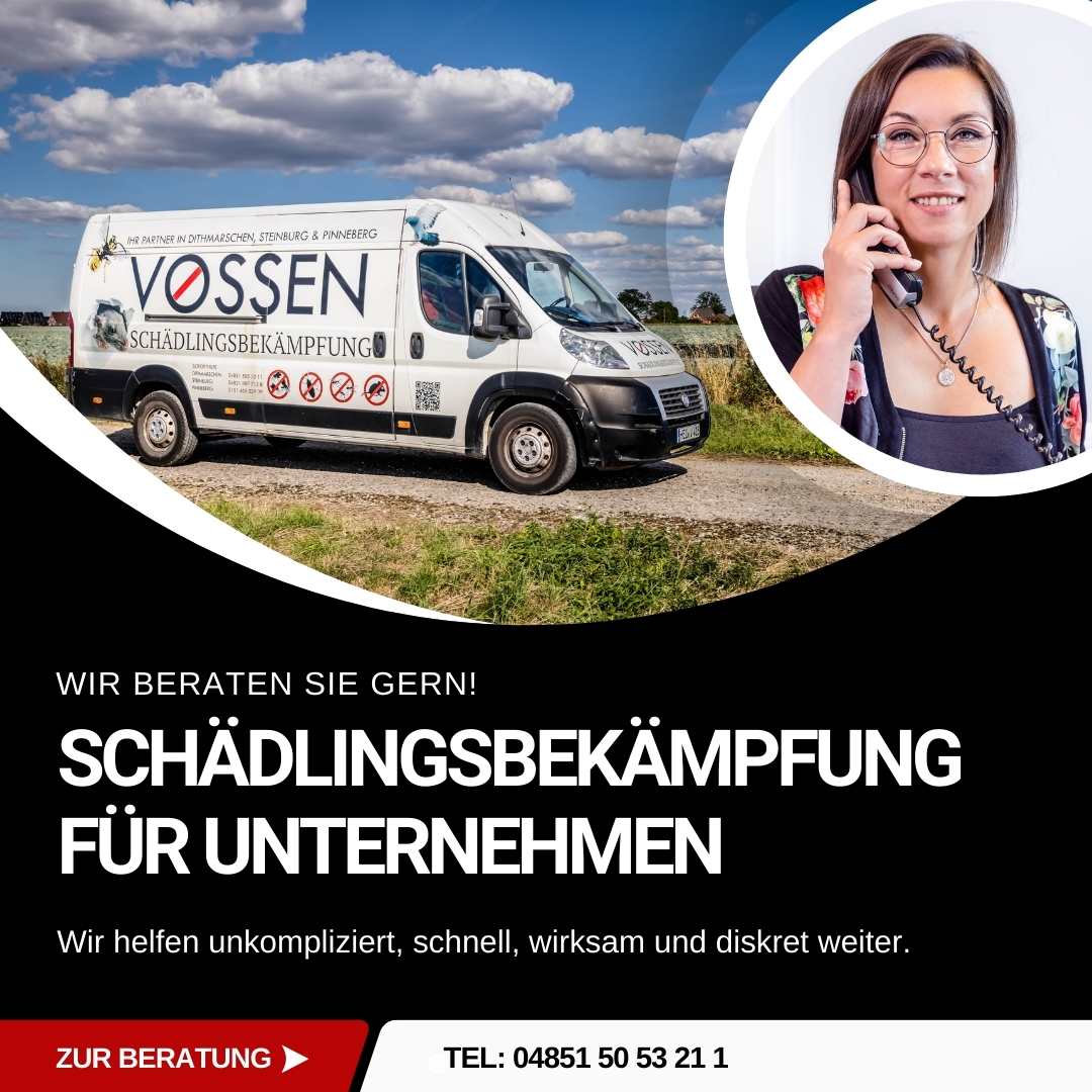 Schädlingsbekämpfung für Firmen