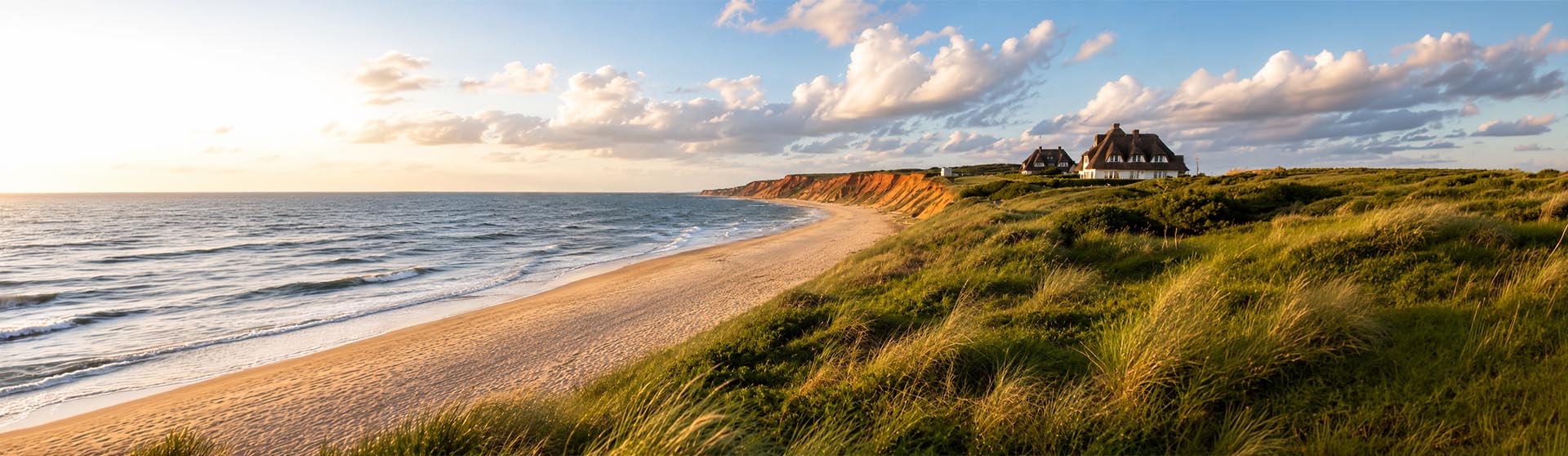 Schädlingsbekämpfung auf Sylt
